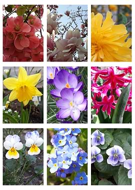 Spring collage