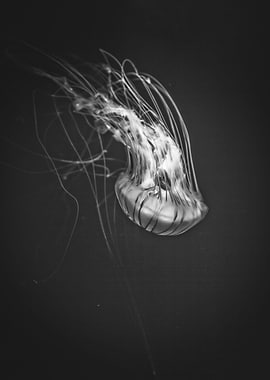 Floating in the Abyss