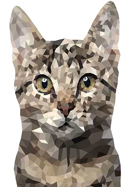 Cat illustration