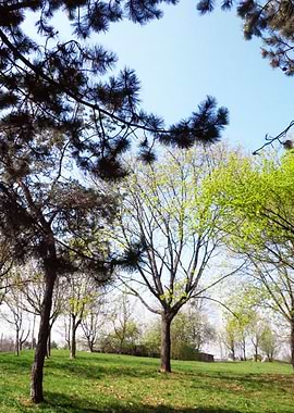 Spring in the parc