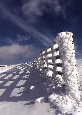 Winter fence
