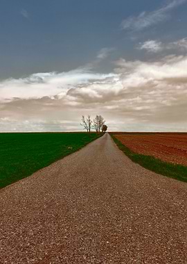 long road in the field