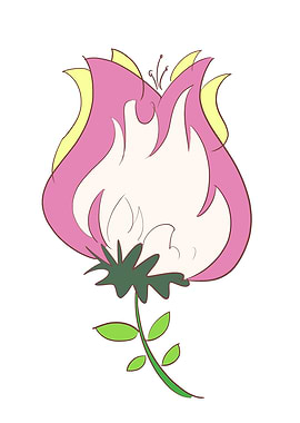 tulip