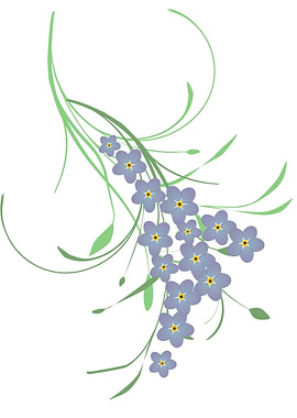 Forget me not flowers