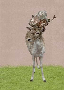 Deer on Blush Pink