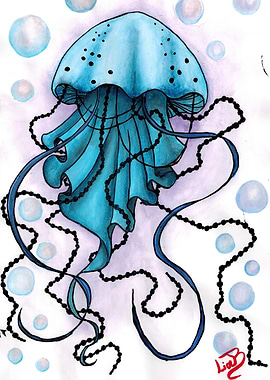 The Jellyfish