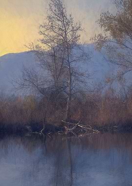 color and reflection