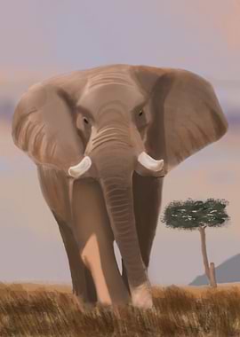 Savanna Elephant