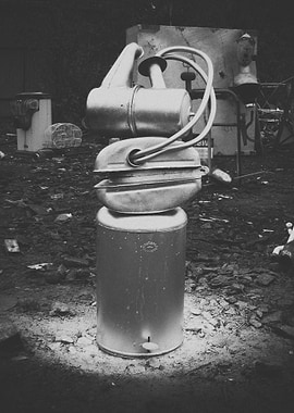 Post Coitum Sculpture