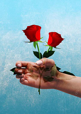 Hand and roses
