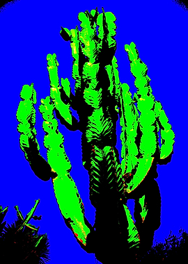 Eight Arms to Hold You