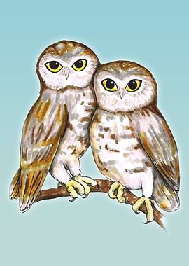 Two cute owls