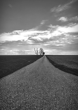 long road in the field