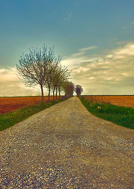 long road in the field