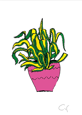 Plant
