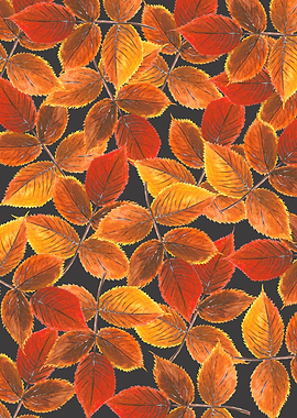 Autumn leaves on gray