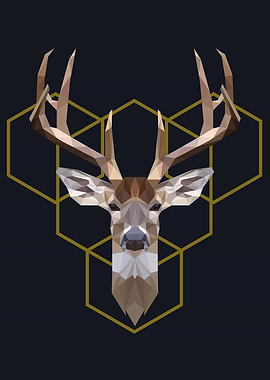 deer polygon symmetric