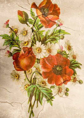Vintage Shabby Chic Poppy