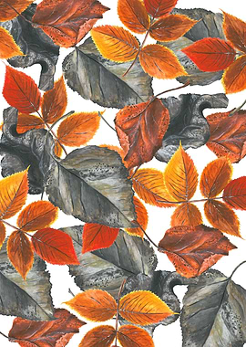 Colorful autumn leaves