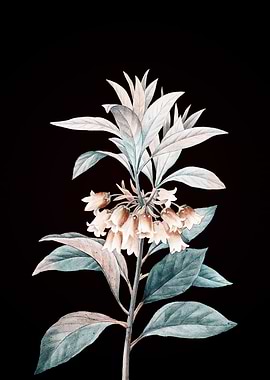 Chinese New Year Flower