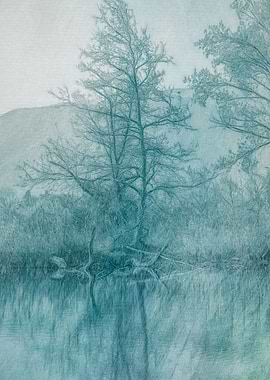 color and reflection