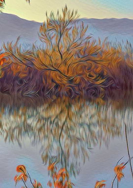 color and reflection