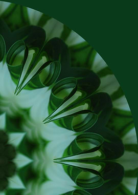 Green Leaf Mandala I