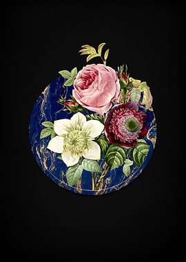 Anemone Clematde Rose