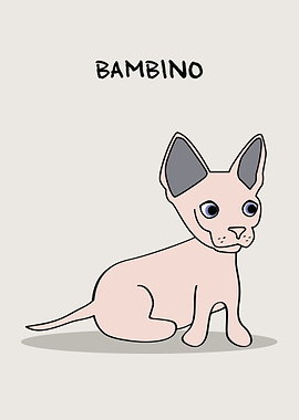 Bambino Cat Mix Breed