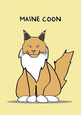 Maine Coon Cat