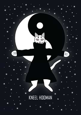 Cat Kneel Hooman
