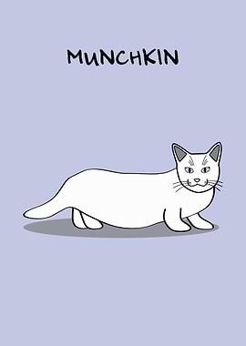Munchkin Cat