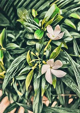 Green leaves and lily rain