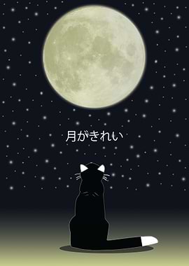 Tsuki Ga Kirei Moon Cat