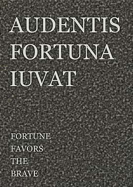 Fortune Favors The Brave