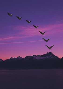 The Eagle has Landed