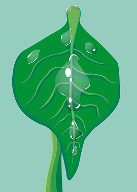 Leaf And Water