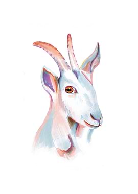 Goat portrait