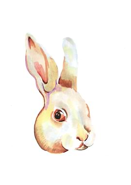 Rabbit portrait