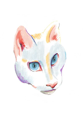 White cat portrait