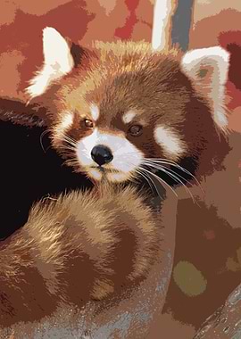 Red Panda