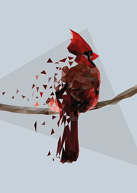 Cardinal bird