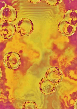 Fresh Sunshine Bubbles