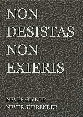 Never Give Up