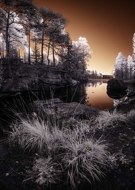 Infrared landscape