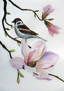 Magnolia and Sparrow