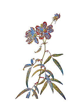 Stained Glass Pink Roses