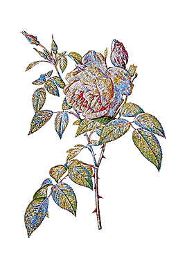 Stained Glass Pink Rose