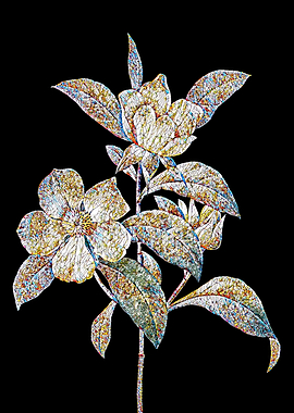 Golden Guinea Vine Mosaic