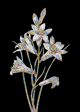 St Brunos Lily Mosaic
